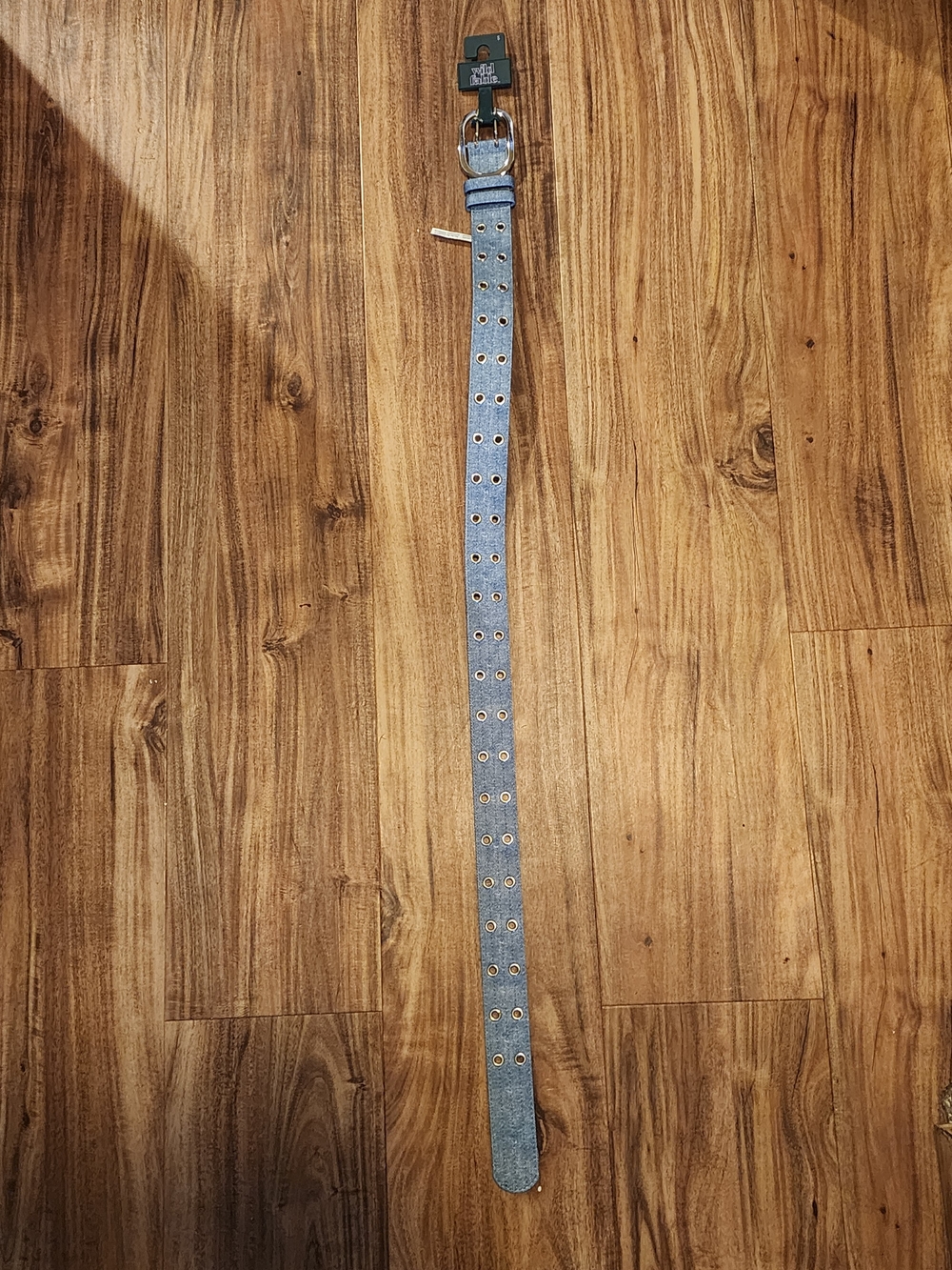 Nwt Wild Fable Denim Blue Double-Row Grommet Belt